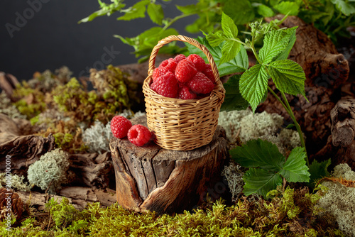 Foto Small wicker basket filled with fresh, ripe raspberries.