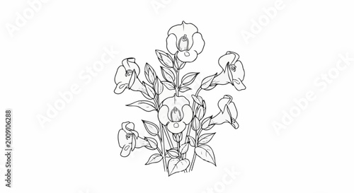 Sketch of delicate trumpet-shaped flowers with leaves on white background