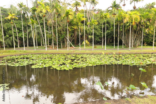 Parco Naturale La Vanille, un parco nazionale di Mauritius (noto anche come Parco dei Coccodrilli La Vanille), si trova a Rivière des Anguilles, nel sud dell'isola.