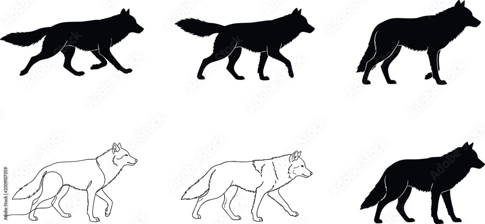 Obraz premium Black and White Walking Wolf Silhouettes Set with Different Stances for Logo and Icon Design