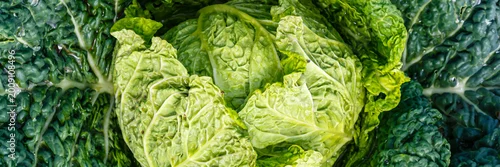 Panel kuchenny z motywem Fresh cabbage, ready for salad preparation and cooking at a local farmer's market in autumn