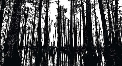 Black and white vector illustration of swamp forest trees reflected in water.
