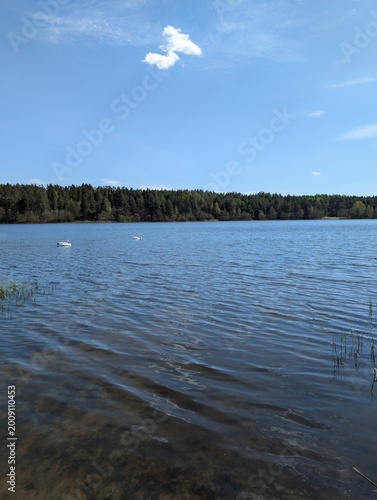 Minimal tranquil lake landscape under a cloudless sky. Great for nature backgrounds, travel visuals, mindfulness concepts, and outdoor seasonal projects.