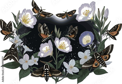 Photography Elegant night garden vector illustration with nocturnal moths and white evening primrose flowers in a mystical moonlit scene
