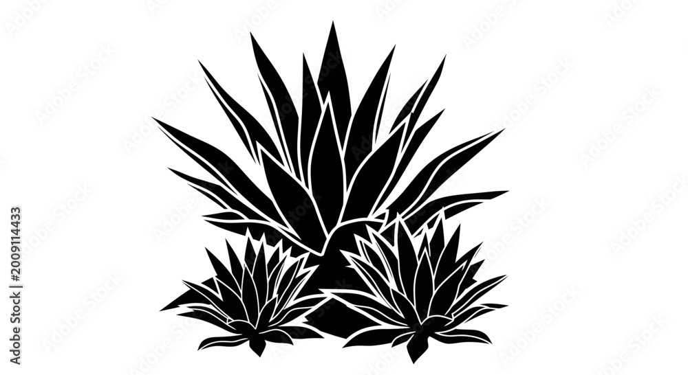 Fototapeta premium Agave Plant Silhouette Vector - Desert Succulent Graphic