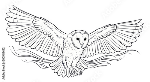 Tablou pe pânză Barn Owl Flying with Open Wings, Detailed Line Art Illustration