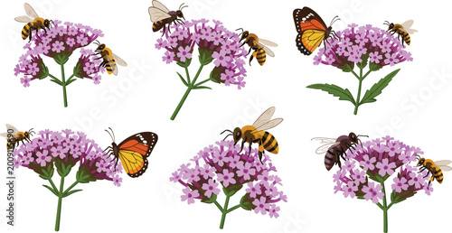 Bees and Butterflies Pollinating Purple Wildflowers Detailed Nature Insect Flower Set Vector Illustration Collection Isolated