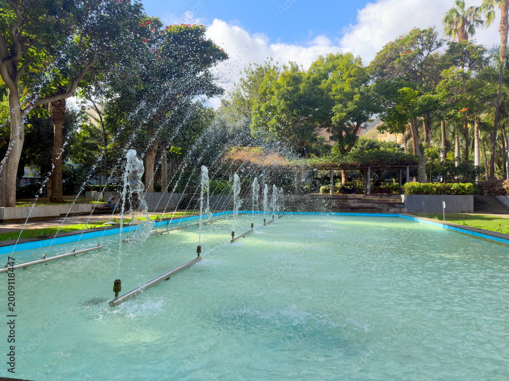 Fototapeta premium Sunlit tropical garden path lined with towering palm trees and lush foliage, Santa Cruz de Tenerife
