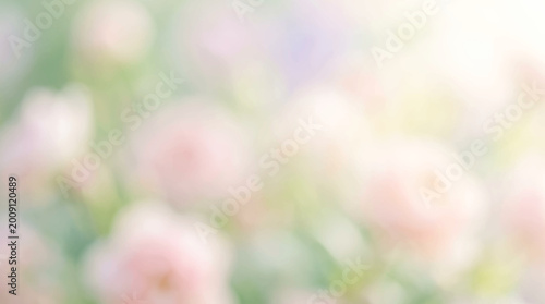 Fotografija Pink bokeh floral garden with blooming spring flowers and soft colorful blur bac