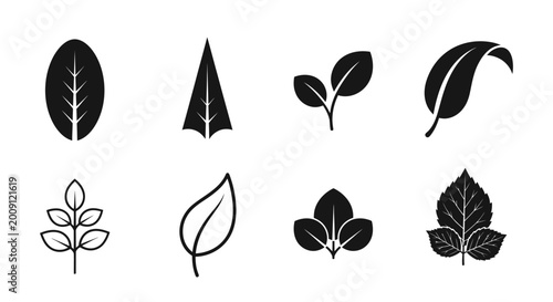 Cuadro en lienzo Diverse Leaf Silhouettes Collection, Nature Icons, Botanical Graphics