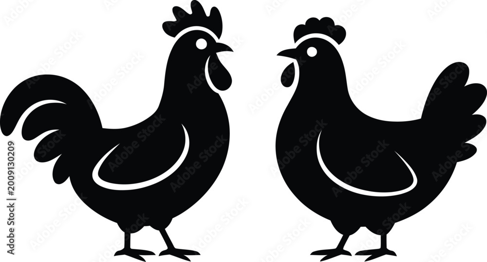 Obraz premium Black and white rooster and hen standing side by side