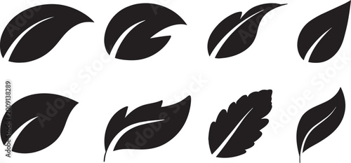 Leaf silhouettes collection black botanical shapes and foliage elements set