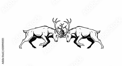 Two stags locked in combat with their antlers intertwined and bodies tensed