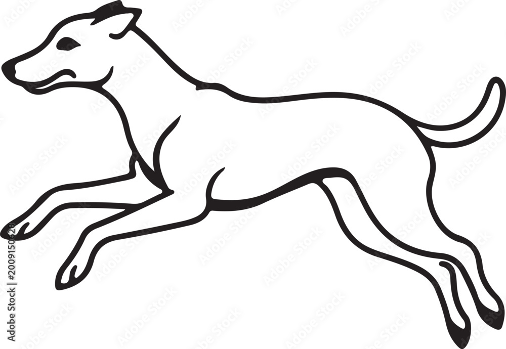 Obraz premium black and white running dog