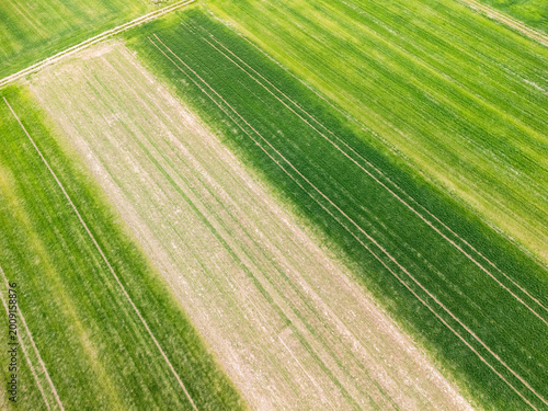 Aerial view of green agricultural fields with varying shades of green, showcasing crop growth patterns and land management techniques. Ideal for projects related to agriculture and sustainability.