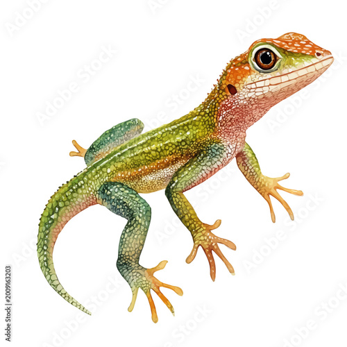 Photos Anole, semi-realistic fantasy design, magical atmosphere, watercolor painterly i