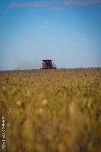 Wide view of a combine harvester working in a soybean field