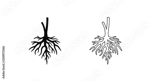 Tableau sur toile Botanical illustration of plant roots a detailed black and white study