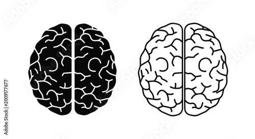 Vászonkép Human brain illustration two views of cerebral cortex with detailed convolution