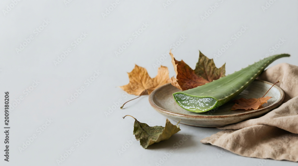 Fototapeta premium Fresh aloe vera leaf on ceramic plate with dried leaves, natural wellness photo.