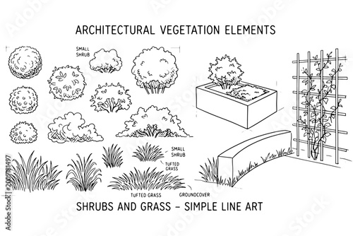 Minimal CAD Shrubs Line Set for Architectural Elevations