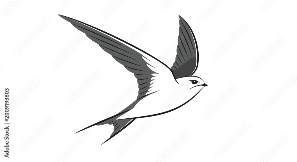 Obraz premium Graceful black and white illustration of a swallow in flight, wings spread wide, showcasing its elegant form and streamlined body.