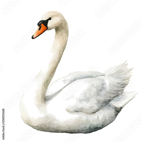 Konstfotografi Swan, watercolor illustration featuring soft shadows and luminous, isolated on a white background