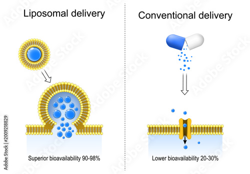 Conventional delivery and Liposomal delivery. Superior bioavailability