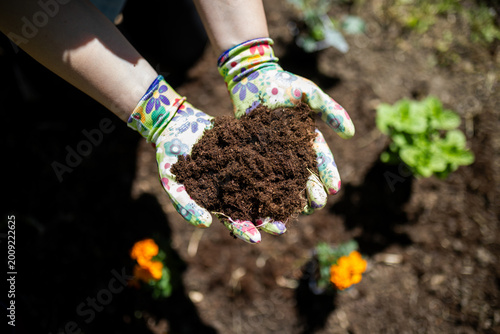 Gardener Holding Fresh Soil in Flower Bed