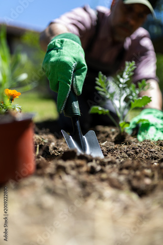 Low Angle Gardener Digging Soil With Hand Trowel