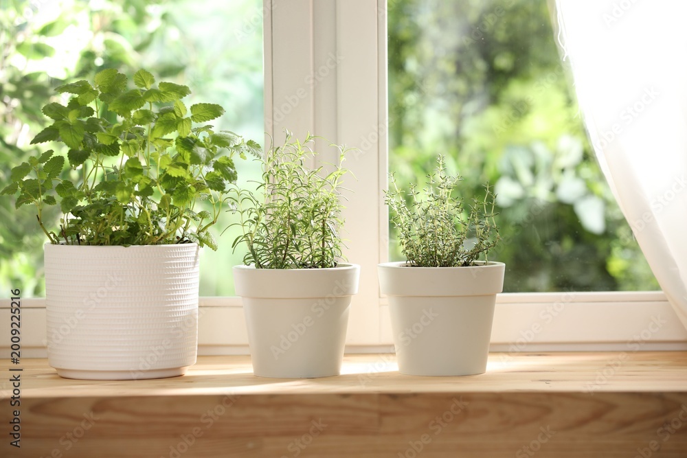 Fototapeta premium Different aromatic herbs in pots on wooden table near window indoors
