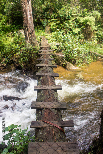 Primitive crossing of a small fast flowing stream in Magoebaskloof in South Africa.