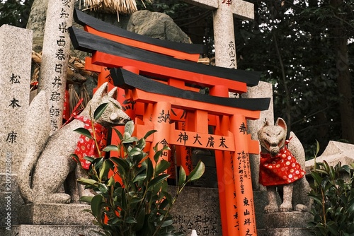 Canvas Print Stone Kitsune fox statue guardian with red bib in front of Torii gates, Fushimi Inari Shrine, Kyoto