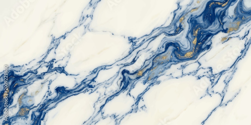 Fotografie Intricate veins of deep indigo and gold flow across a pristine expanse, evoking the majesty and artistry of nature's design