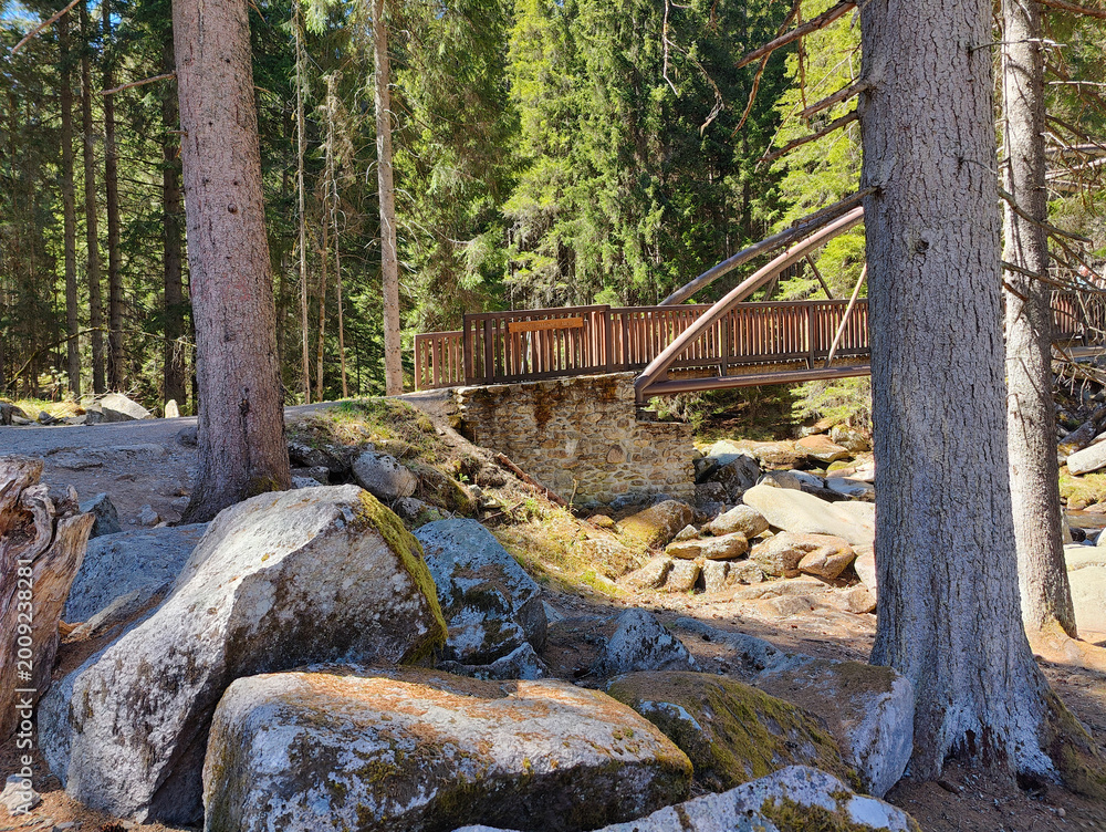 Fototapeta premium Wooden footbridge over rocky stream in sunlit pine forest. Mossy boulders and tall trees create serene wilderness scene.