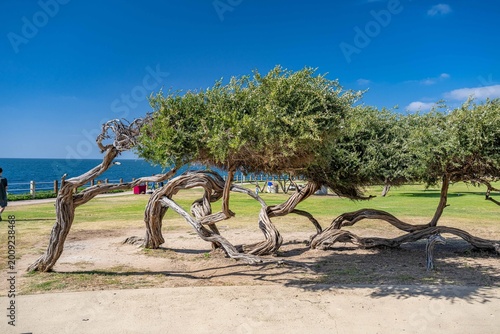 la jolla, california
