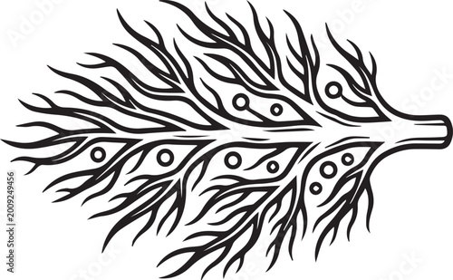Tableau sur toile Intricate Mycorrhizal Fungi Network Interacting with Plant Roots – Essential Sym