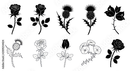 Fotografie Various black and white illustrations of flowers and thistles are shown together