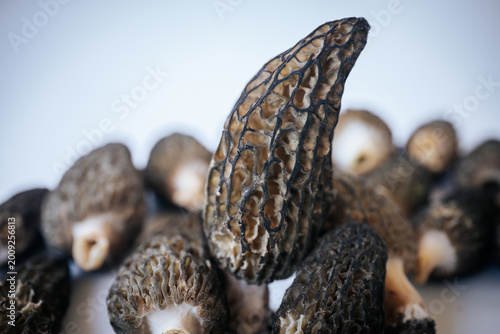 Foto Fresh moraine mushrooms arranged on a light background with honeycomb caps, cut stems, earthy tones and ample text space