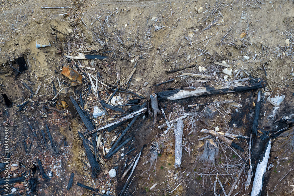 Fototapeta premium Charred Logs and Eroded Soil After Wildfire — Burnt Wood Debris on Hillside in British Columbia