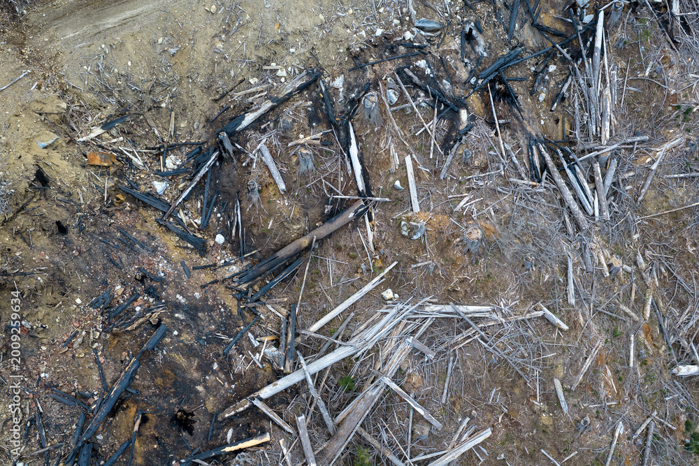 Fototapeta premium Aerial View of Burned Forest Stumps and Charred Logs on Eroded Slope in British Columbia