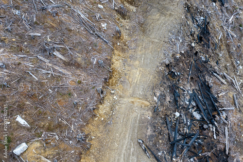 Aerial View of Clearcut and Burned Forest Slope After Logging in British Columbia, Canada