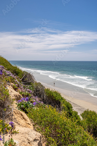 Tableau sur toile South Carlsbad State Beach