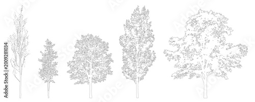 Cuadro en lienzo Minimal style CAD tree species line drawing, Side view, set of graphics mixed trees elements outline symbol for architecture landscape design drawing
