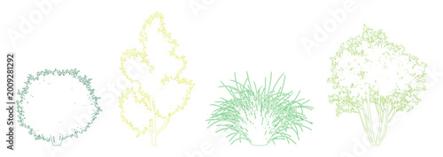 Tableau sur toile Minimal style CAD plant and tree color variation drawing, Side view, set of graphics vegetation elements outline symbol for architecture landscape design drawing