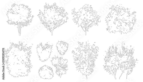 Minimal style CAD mixed tree and shrub line drawing, Side view, set of graphics vegetation elements outline symbol for architecture landscape design drawing. Vector illustration. forest garden section