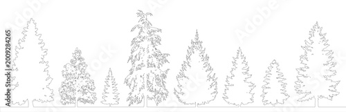 Photos Minimal style CAD coniferous tree line drawing, Side view, set of graphics evergreen trees elements outline symbol for architecture landscape design drawing