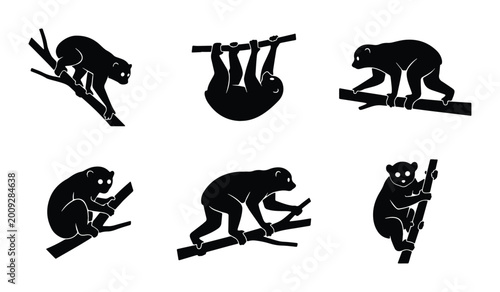 Tableau sur toile 6 primate poses on branches in black and white vector format