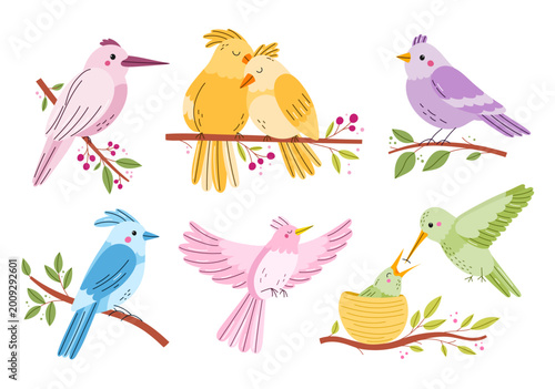 Foto Collection of six colorful birds in various poses: sitting on branches, flying and feeding a chick in nest