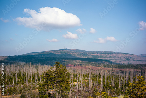 Traumhafte Aussicht vom Achtermann im Harz